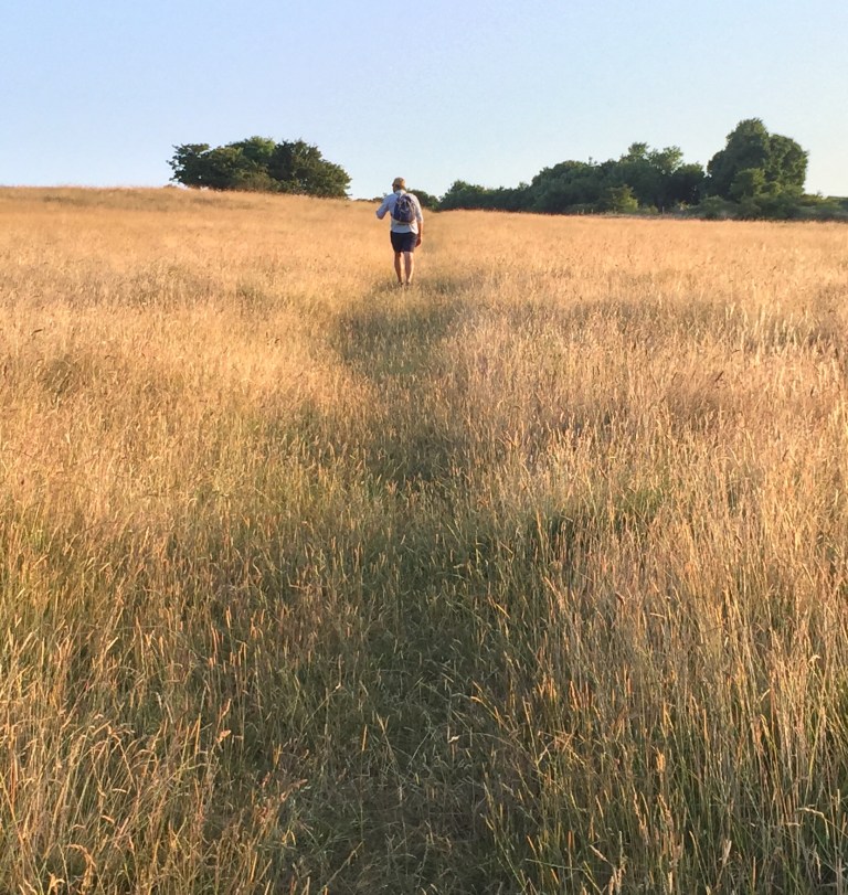 A walker crossing a grassy field at sunset