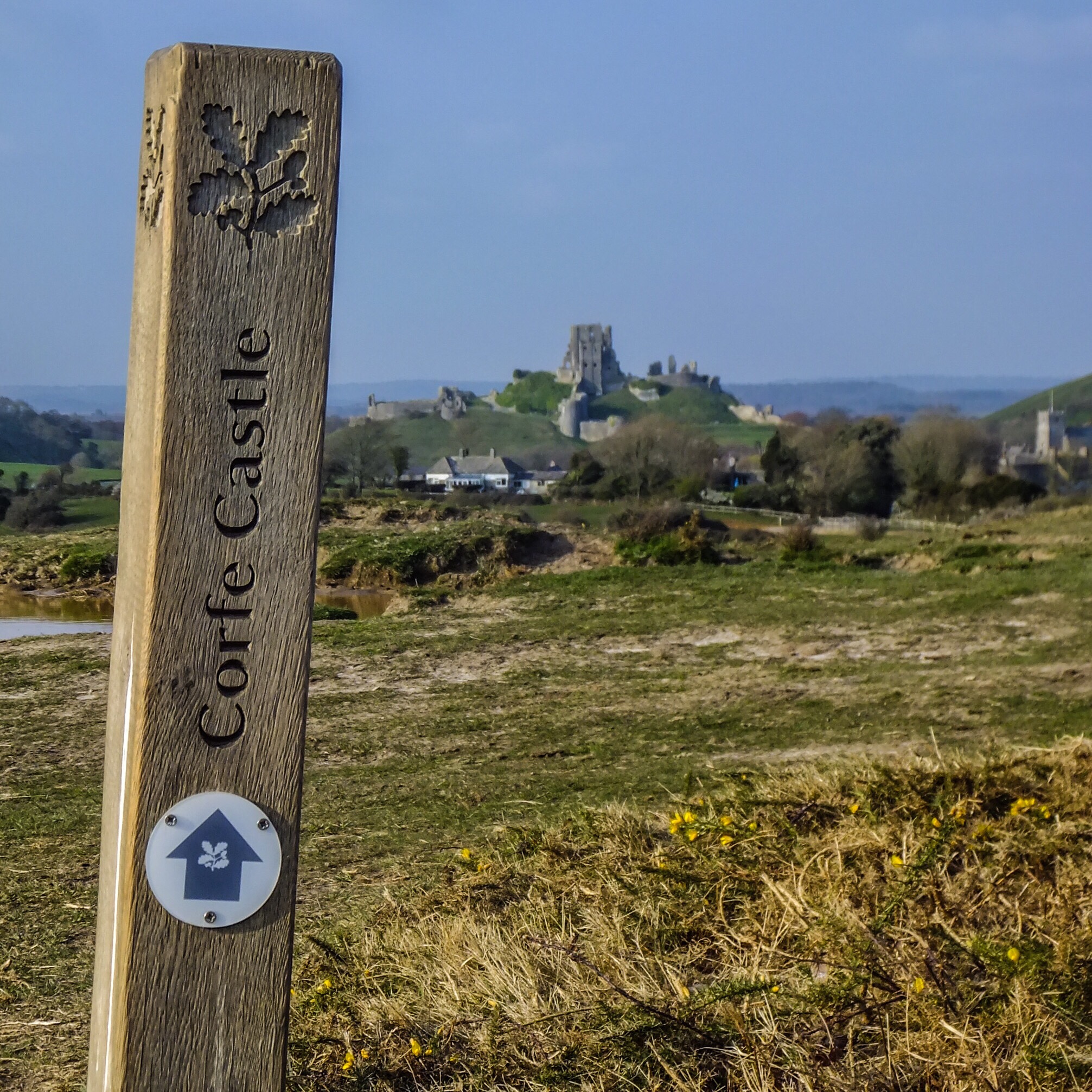 View of Corfe Castle from Corfe Common 