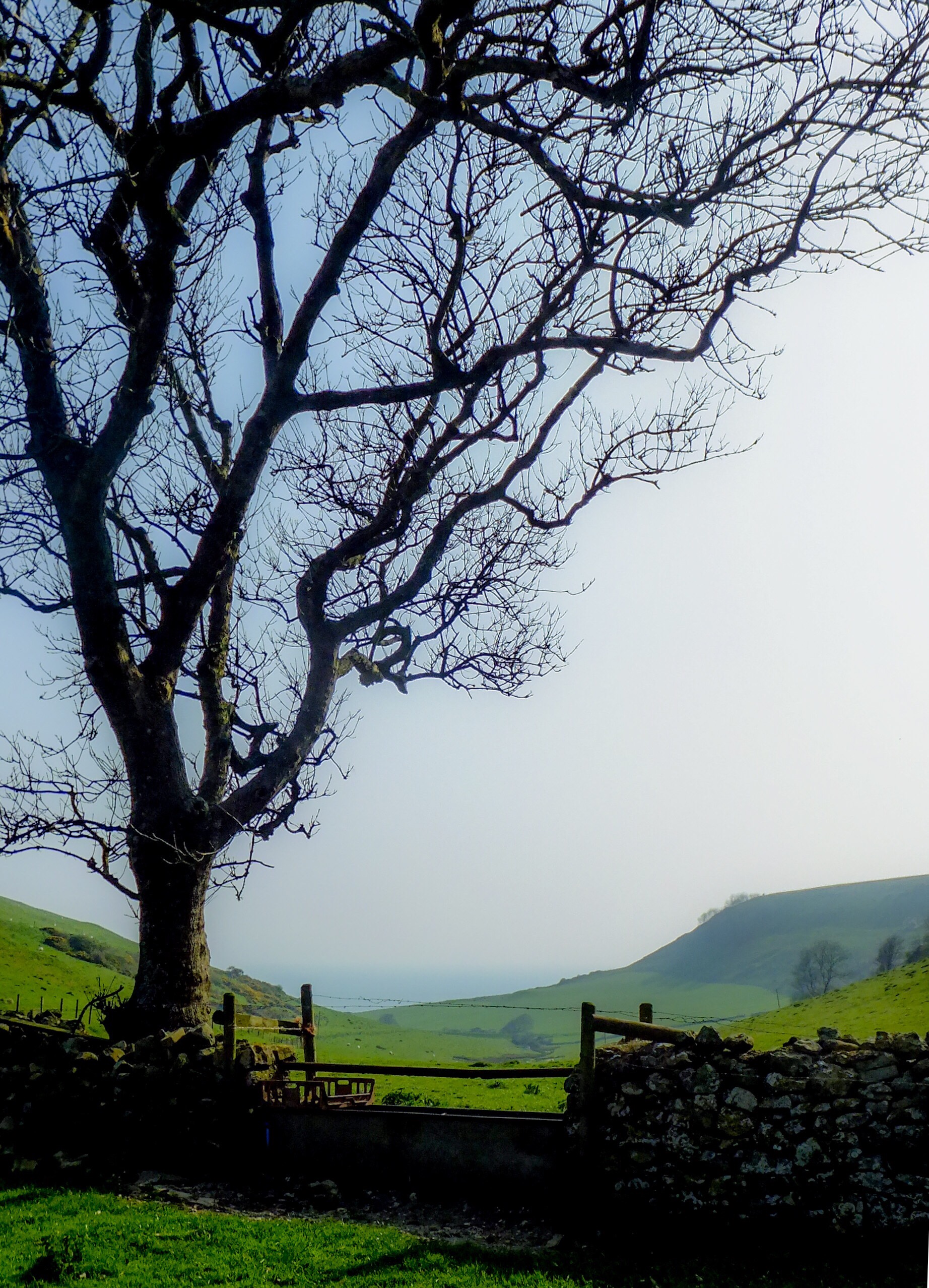 View through fields to the sea near Chapman’s  Pool in Dorset
