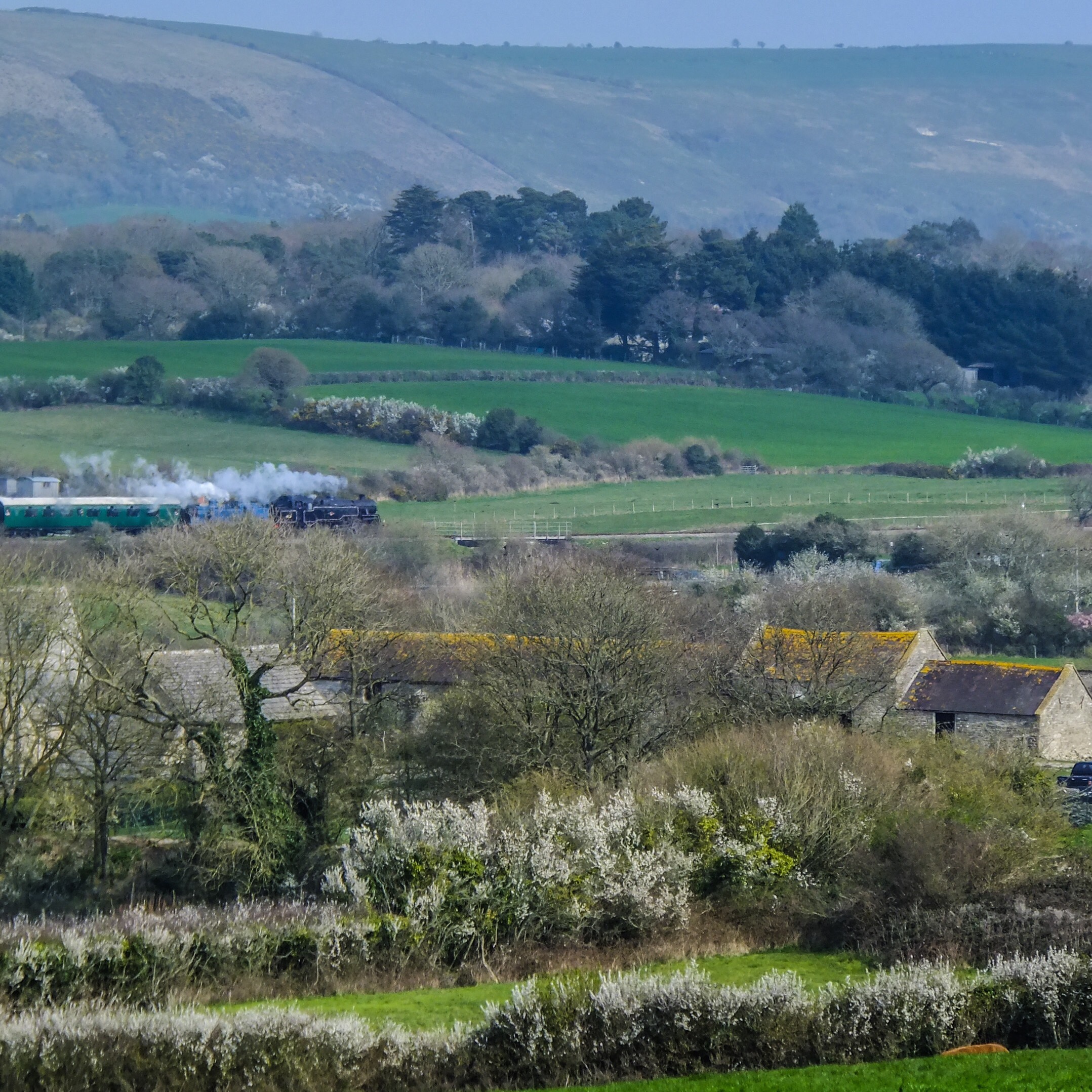 Swanage Railway steam train at  Corfe Common