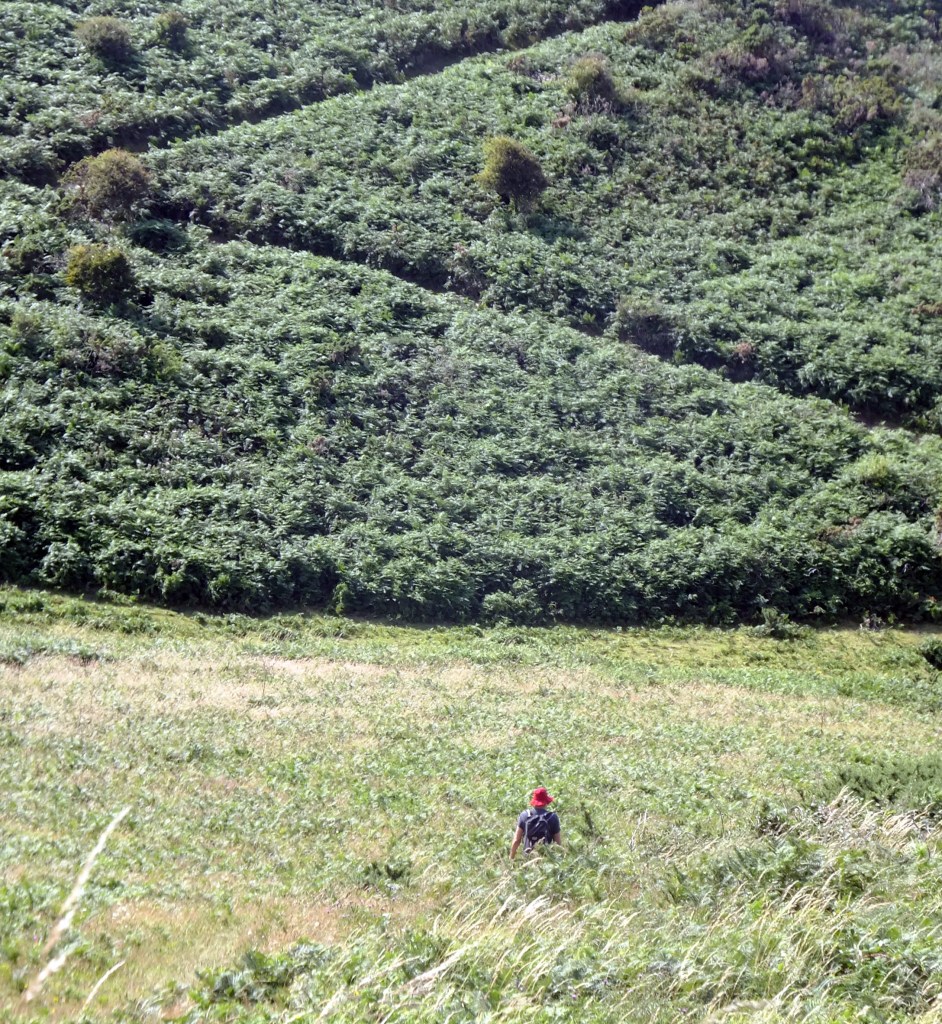 Walking the South West Coast Path near Mortehoe, Devon