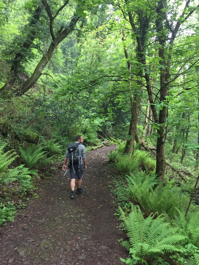 Walking through Culbone Woods on the South West Coast Path, Exmoor